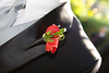 jsalgadoimages > weddings from 2007 photo