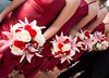 jsalgadoimages > weddings from 2007 photo