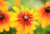 jsalgadoimages > nature / landscape photo