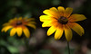 jsalgadoimages > nature / landscape photo