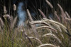 jsalgadoimages > nature / landscape photo