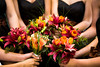jsalgadoimages > Weddings 2008 photo